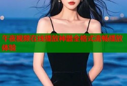 午夜视频在线播放神器全格式流畅播放体验