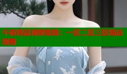 午夜精品视频集锦：一区二区三区精选观看