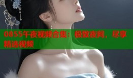 0855午夜视频合集：极致夜间，尽享精选视频