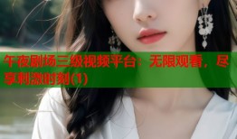 午夜剧场三级视频平台：无限观看，尽享刺激时刻(1)