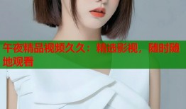 午夜精品视频久久：精选影视，随时随地观看