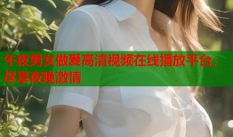 午夜男女做爰高清视频在线播放平台，尽享夜晚激情