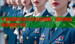午夜视频合集手机在线观看，随时随地畅享精彩内容