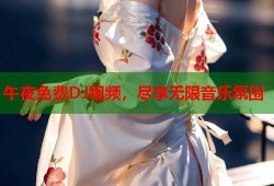 午夜免费DJ视频，尽享无限音乐氛围