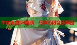 午夜免费DJ视频，尽享无限音乐氛围