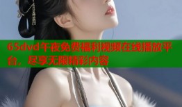 65dvd午夜免费福利视频在线播放平台，尽享无限精彩内容