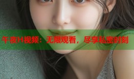 午夜H视频：无限观看，尽享私密时刻