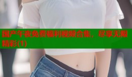 国产午夜免费福利视频合集，尽享无限精彩(1)