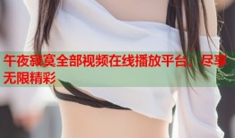 午夜寂寞全部视频在线播放平台，尽享无限精彩