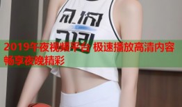 2019午夜视频平台 极速播放高清内容畅享夜晚精彩