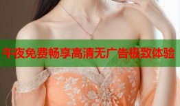 午夜免费畅享高清无广告极致体验