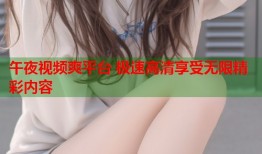 午夜视频爽平台 极速高清享受无限精彩内容