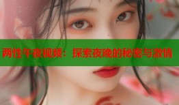 两性午夜视频：探索夜晚的秘密与激情