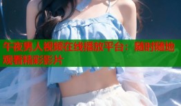午夜男人视频在线播放平台：随时随地观看精彩影片