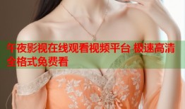 午夜影视在线观看视频平台 极速高清全格式免费看