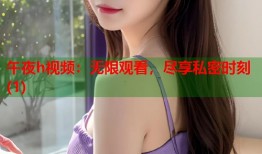午夜h视频：无限观看，尽享私密时刻(1)