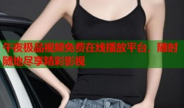 午夜极品视频免费在线播放平台，随时随地尽享精彩影视