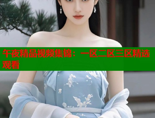 午夜精品视频集锦：一区二区三区精选观看